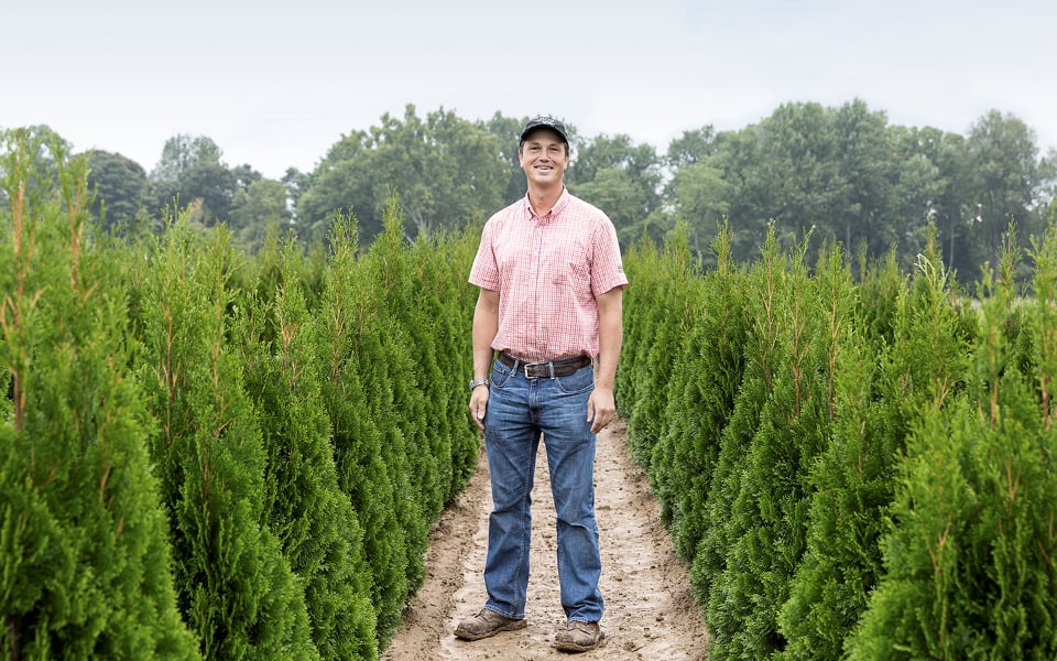 Man in a red checkered shirt stands between two rows of evergreen trees.
